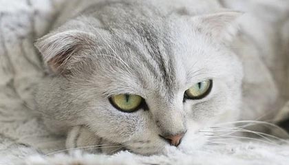 真人版吕布！近距离观看阿隆-戈登训练 外线三分手拿把攥